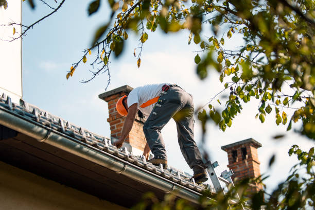 Best New Roof Installation  in Churchill, MT