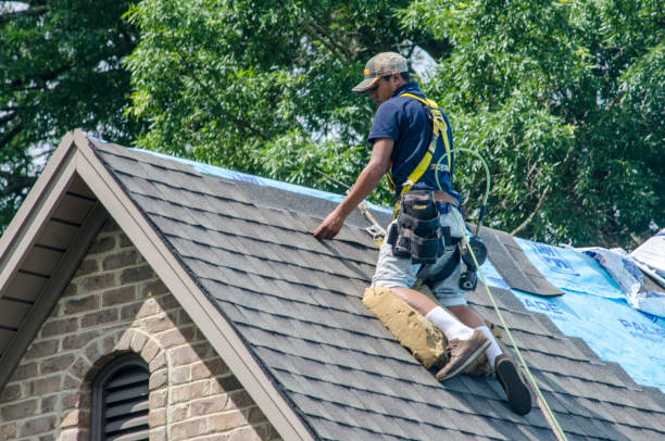 Roof Gutter Cleaning in Churchill, MT